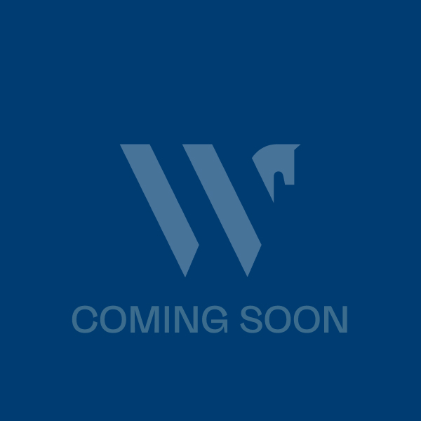 GDF Prize Card Coming Soon Image