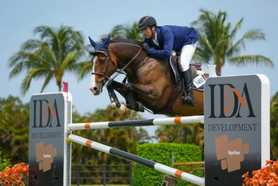 Juan Jose Bancalari Elmudesi & Ballypatrick Flamenco in the $25,000 IDA Development Grand Prix. Photo © Sportfot