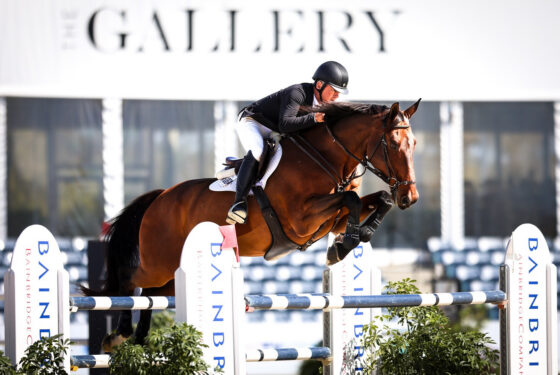 Will Simpson and Chacco P won the $32,000 Palm Beach Equine Clinic CSI3* Speed during ESP Pre/Charity at Wellington International. Photo © Cassidy Klein