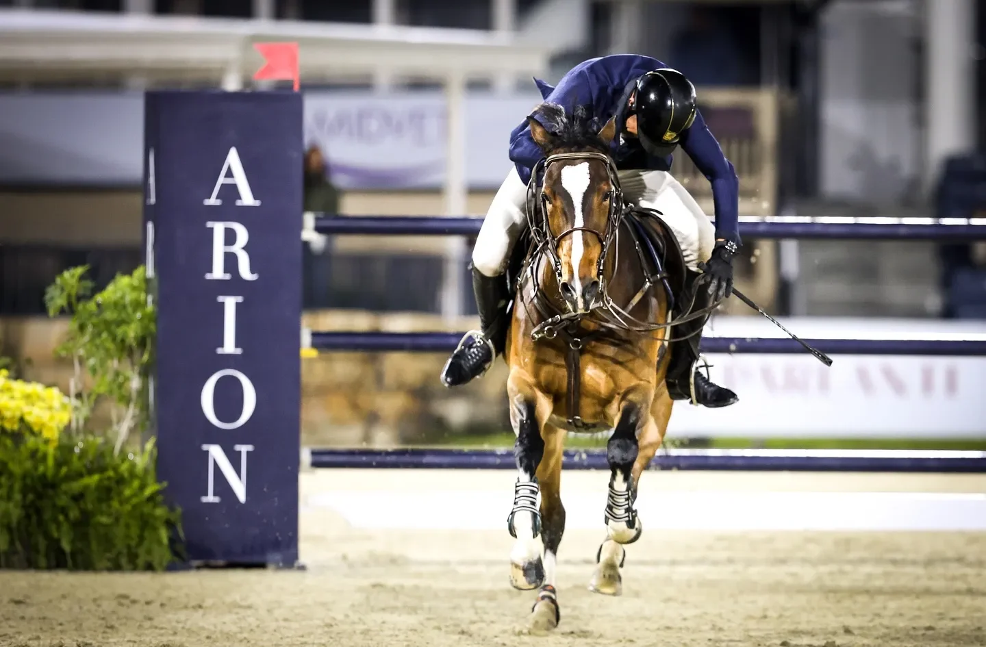 Charlie Jayne & One and Only win the $50,000 Arion Sellier Grand Prix during ESP Holiday Finale at Wellington International. Photo ©Cassidy Klein