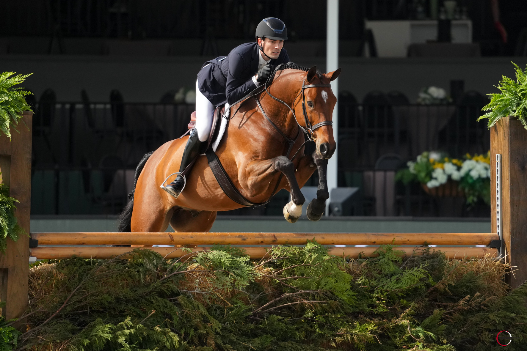 Class 9997 - FEI CSI 2* HORSE INSPECTION, image size:1772x1181