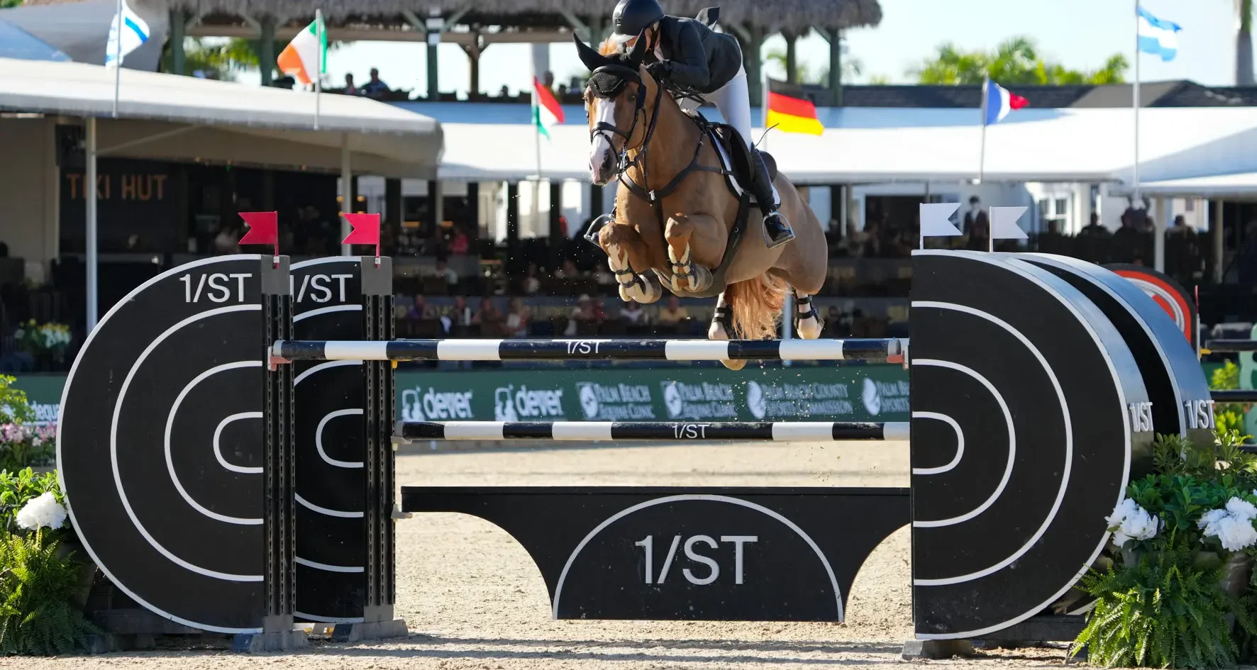 Marilyn Little & Olympic van de Noordheuevel. Photo ©Sportfot