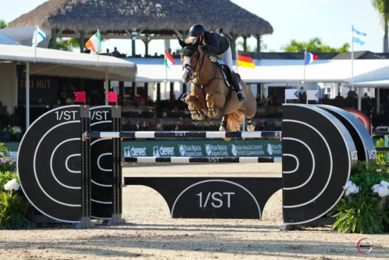 Marilyn Little & Olympic van de Noordheuevel. Photo ©Sportfot