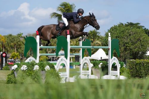 Michael Murphy & Kaida CM. Photo ©Sportfot