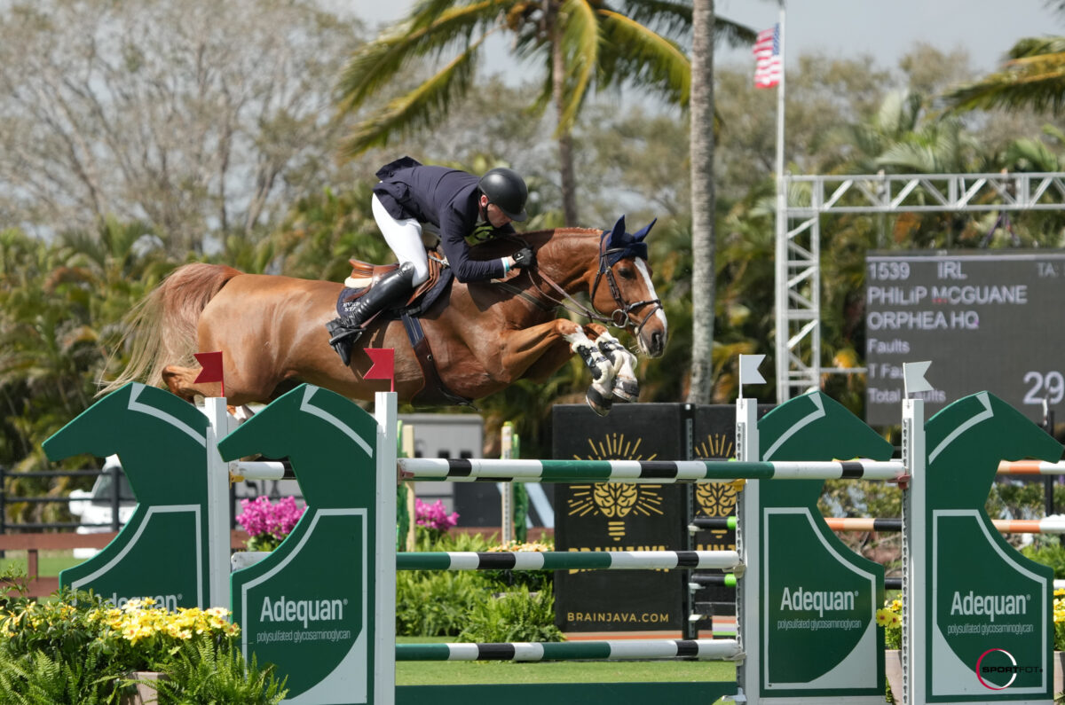 Philip McGuane and Orphea HQ Relive Victory in Adequan WEF Challenge Cup Round 6