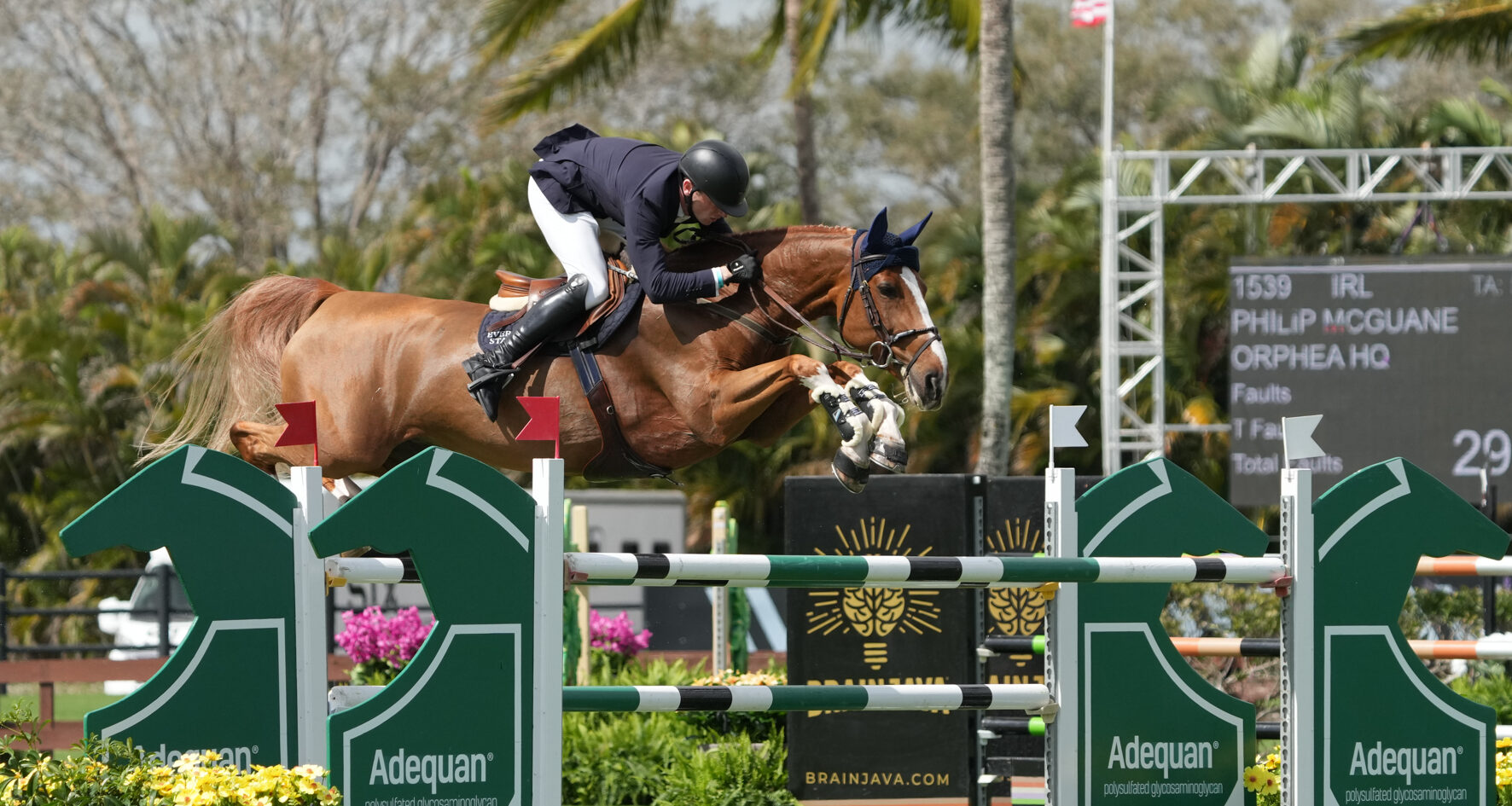 Philip McGuane and Orphea HQ Relive Victory in Adequan WEF Challenge Cup Round 6