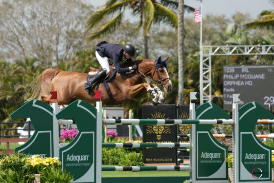 Philip McGuane and Orphea HQ Relive Victory in Adequan WEF Challenge Cup Round 6