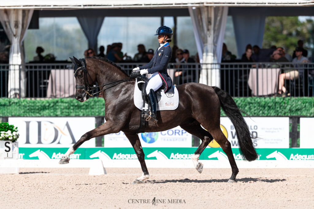 Geñay Vaughn and "Gino" competing at GDF Week 1. Geñay Vaughn and "Gino" trotting across the center line during GDF Week 1. 