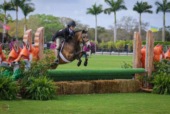 pony derby; 1325, CLOVERMEADE HEARTTHROB, GRACE STENBECK-WERNER, MADELEINE FLOCKS;