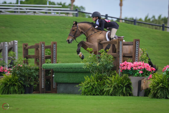 pony derby; 2295, WHY NOT?, LEXIE TUCCI; Sportfot