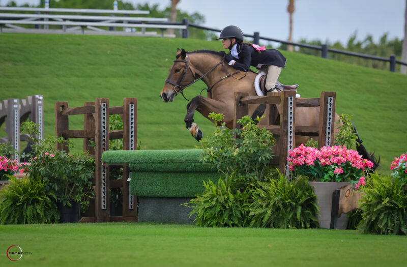 pony derby; 2295, WHY NOT?, LEXIE TUCCI; Sportfot