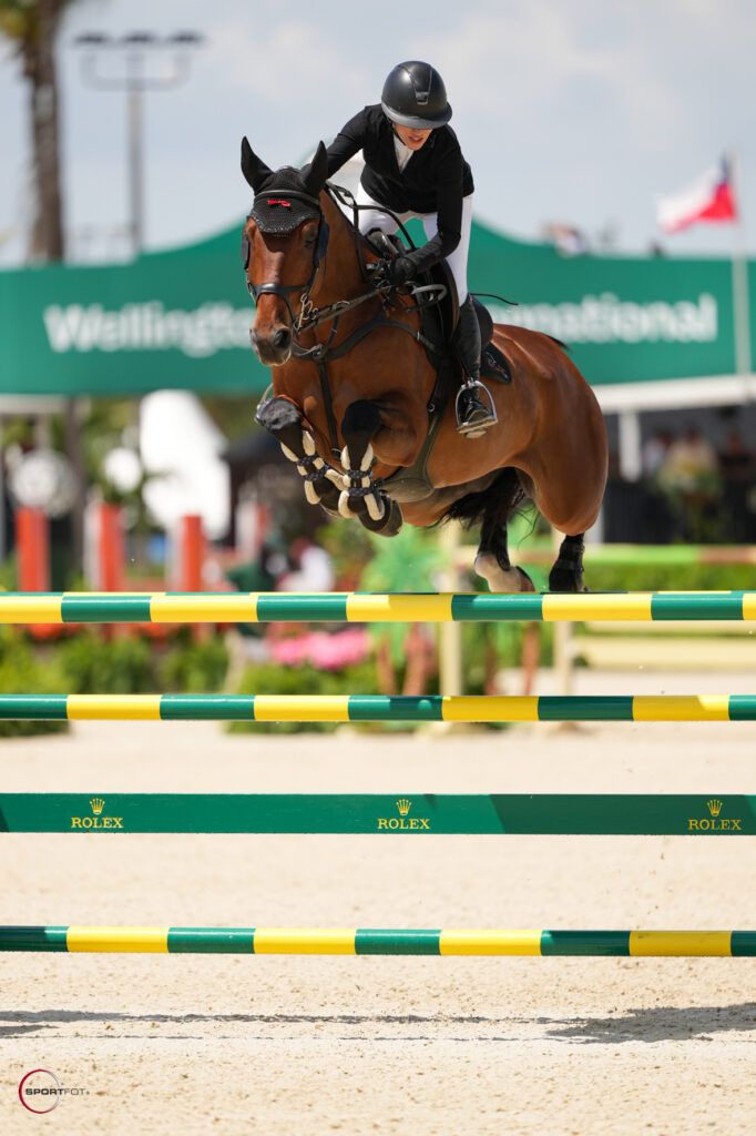 Bainbridge companies 1.50m; 6054, NARADO, MARILYN LITTLE; Sportfot