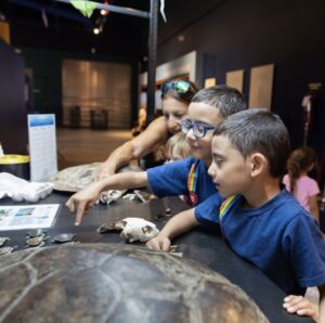 kids playing at the cox science center