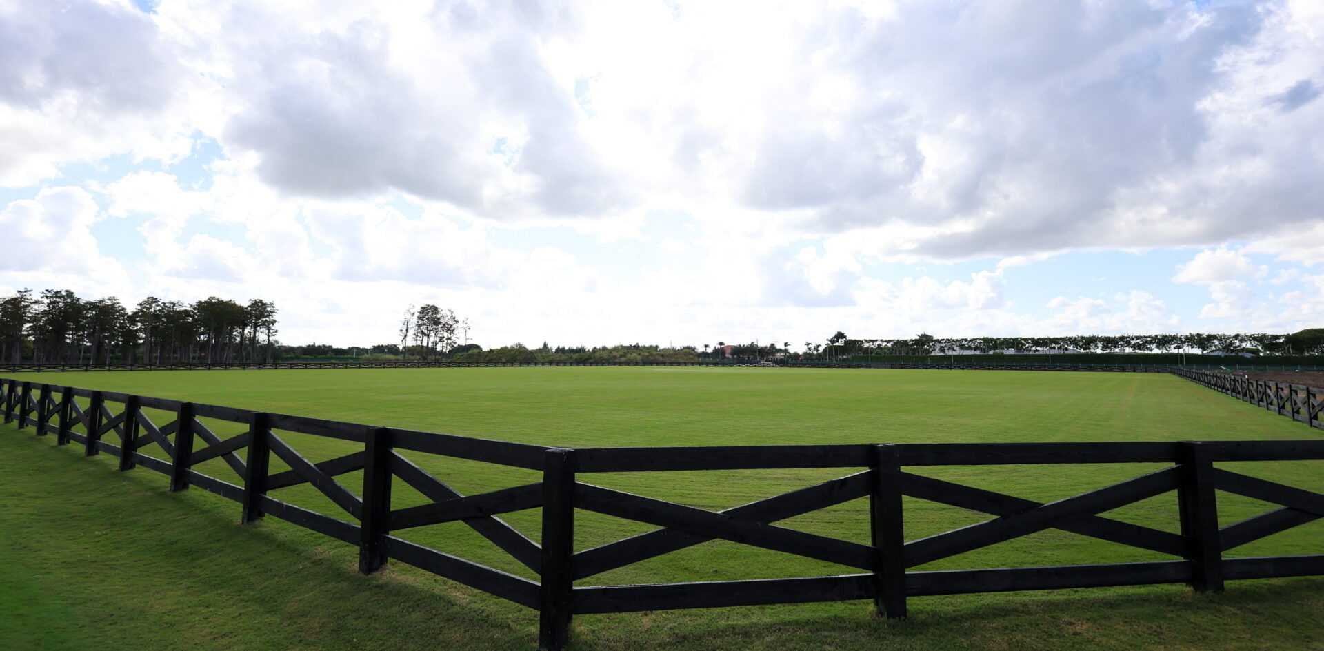 wellington international south derby field