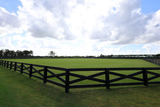 wellington international south derby field