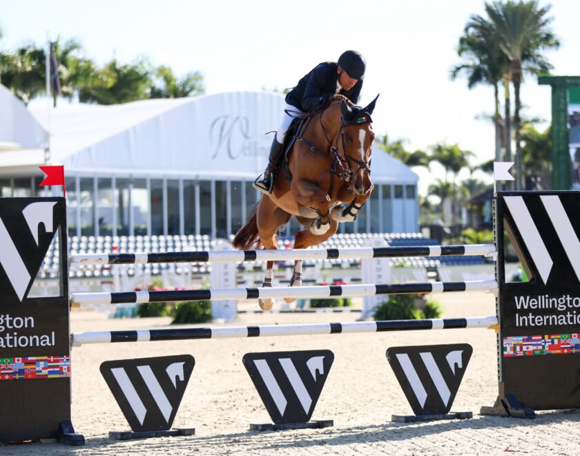 a rider jumping over a wellington international branded jump