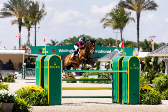horse jumping a rolex jump